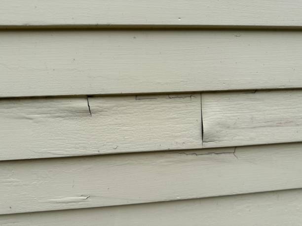 Best Vinyl Siding Installation  in Dubuque, IA